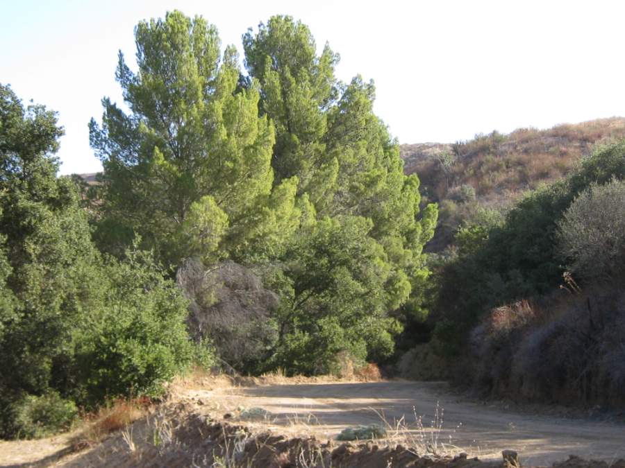 Melody Ranch Motion Picture Studio SA Open Areas : Roads : Natural Settings Picture 18