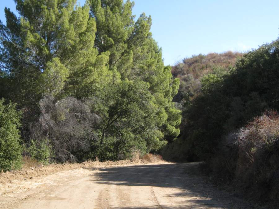 Melody Ranch Motion Picture Studio SA Open Areas : Roads : Natural Settings Picture 21