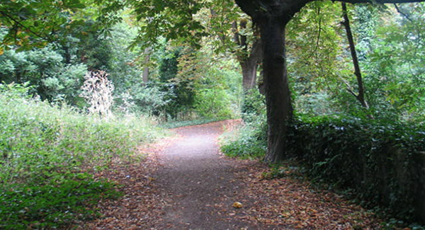 Shepperton Studios SA Woodlands And The River Ash Picture 002