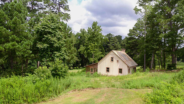 Tyler Perry Studios SA Rustic Cabin & Woods Picture 7