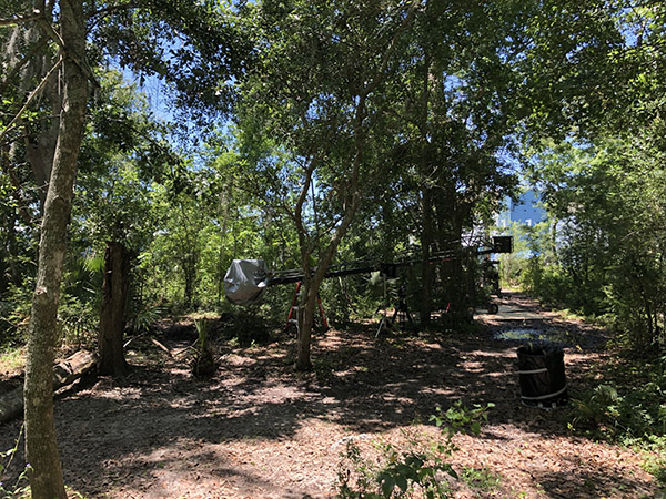 Starlight Studios SA Forrest Picture 8