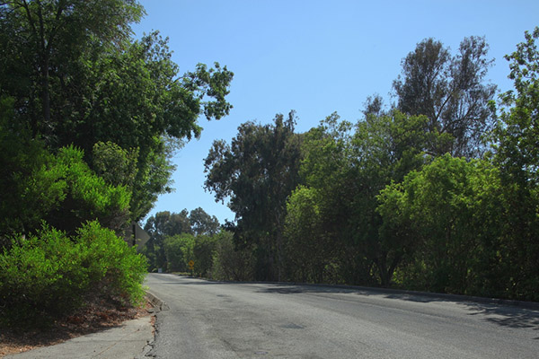 Universal Studios Lot SA Roads Picture 2