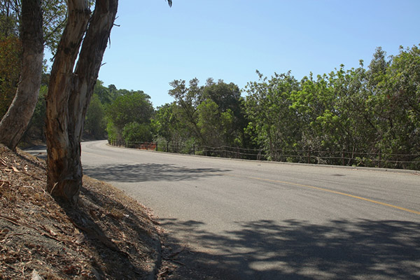 Universal Studios Lot SA Roads Picture 3