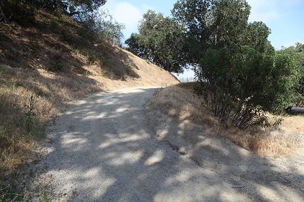 Universal Studios Lot SA Roads Picture 5
