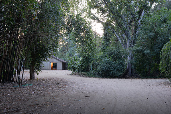 Warner Bros. Studios SA Jungle Lagoon Picture 7