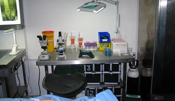 West London Film Studios SA Mortuary Picture 12