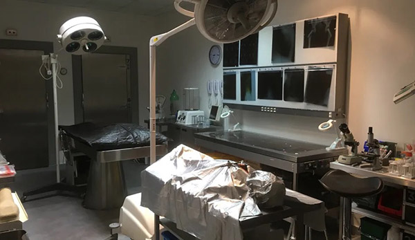 West London Film Studios SA Mortuary Picture 13