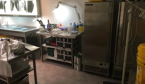 West London Film Studios SA Mortuary Picture 14