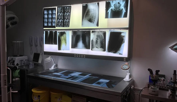 West London Film Studios SA Mortuary Picture 17