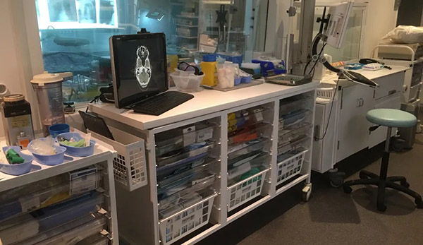 West London Film Studios SA Operating Theatre Set Picture 21