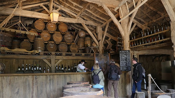 Puy Du Fou Studio SA Grange-Taverne Picture 00003