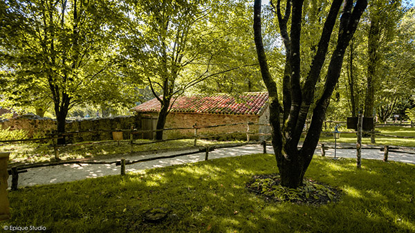 Puy Du Fou Studio SA Flower gardens Picture 17