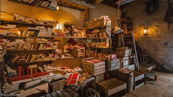 Puy Du Fou Studio SA 17th century library 2
