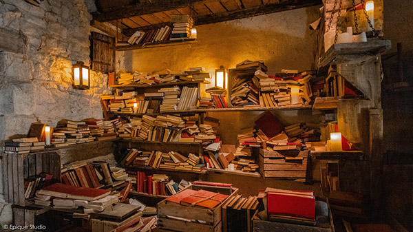 Puy Du Fou Studio SA 17th century library 4