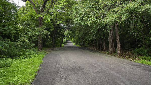 Film City Mumbai SA Link Road Picture 00002