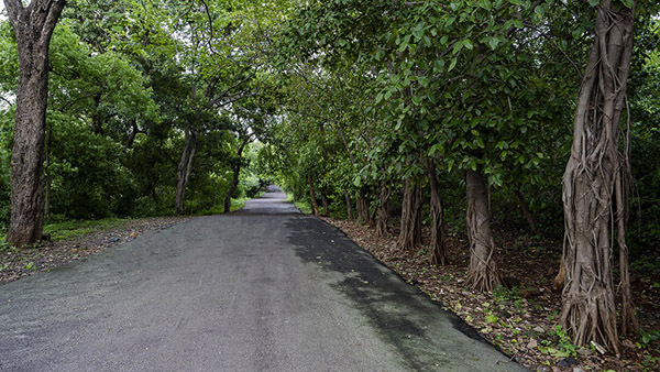 Film City Mumbai SA Link Road Picture 00003