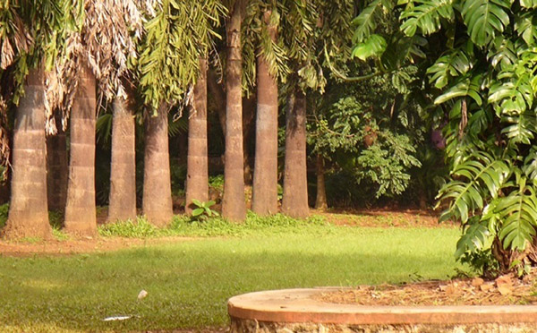 Film City Mumbai SA Play Ground, Staff Quarter Rd & Jt. M.D. Bungalow Picture 00003