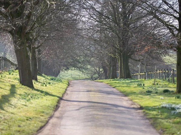 Tatton Film Studios SA Arden House Drive Picture 2