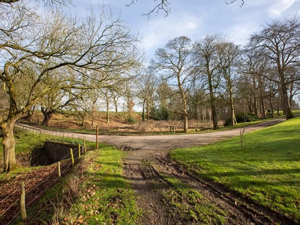 Tatton Film Studios SA Arden House Drive Picture 6