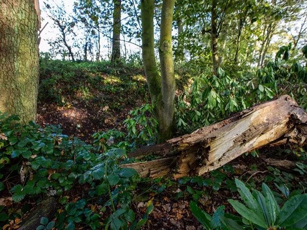 Tatton Film Studios SA Fish House Woods Picture 6