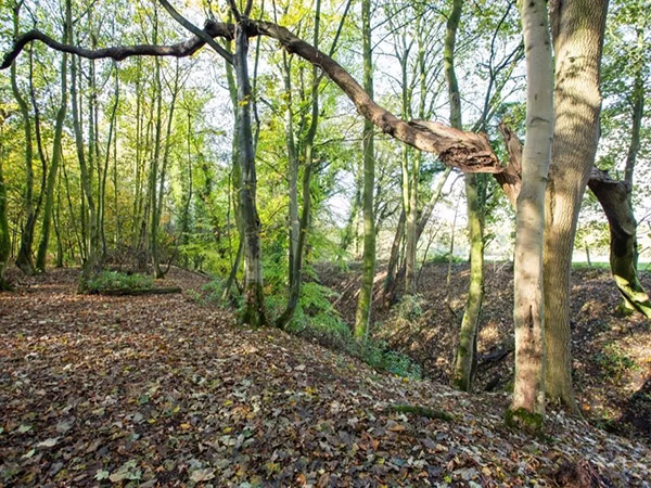 Tatton Film Studios SA Fish House Woods Picture 8