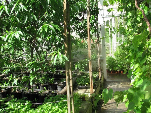 Tatton Film Studios SA Peover Hall - Walled Gardens Picture 3