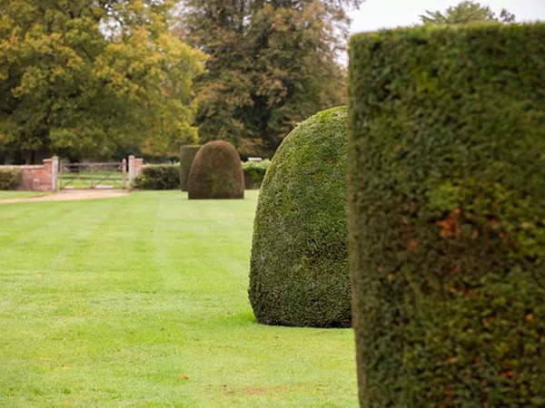 Tatton Film Studios SA Peover Hall Gardens Picture 13