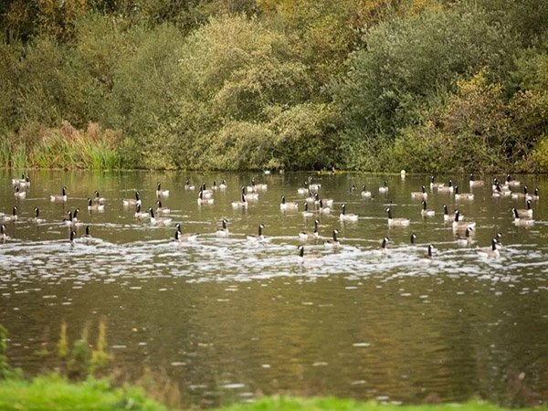 Tatton Film Studios SA Peover Hall Lake Picture 3