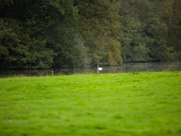 Tatton Film Studios SA Peover Hall Lake Picture 4