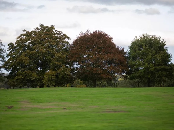 Tatton Film Studios SA Rostherne Cricket Club Picture 1