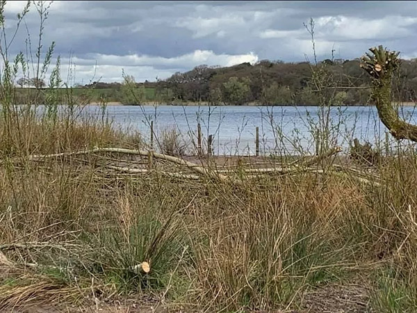 Tatton Film Studios SA Rostherne Mere Picture 2