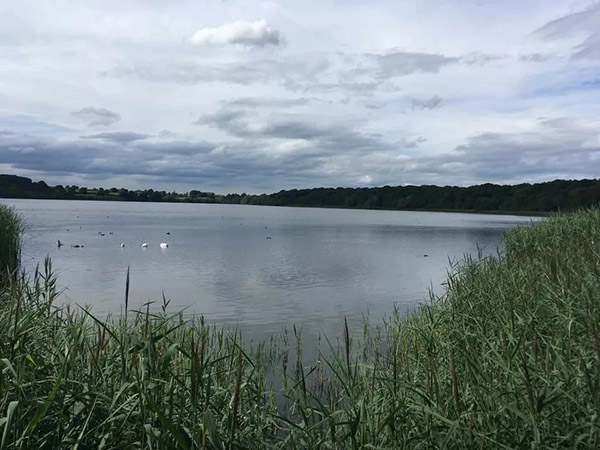 Tatton Film Studios SA Rostherne Mere Picture 3