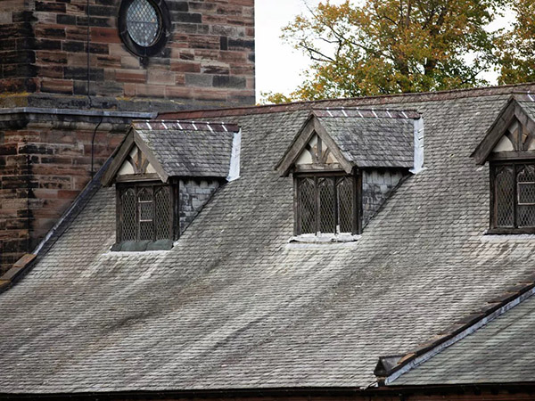 Tatton Film Studios SA St Mary's Church, Rostherne Picture 8