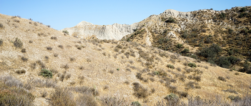 Blue Cloud Movie Ranch SA Open Fields Picture 2