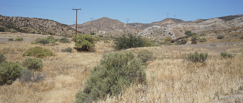 Blue Cloud Movie Ranch SA Open Fields Picture 3