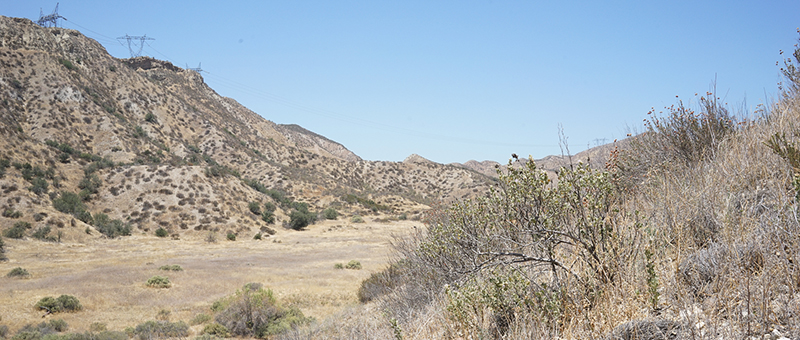Blue Cloud Movie Ranch SA Open Fields Picture 5