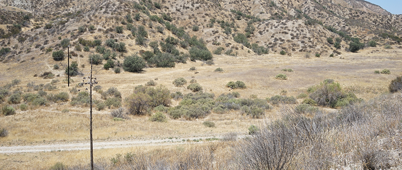Blue Cloud Movie Ranch SA Open Roads Picture 15