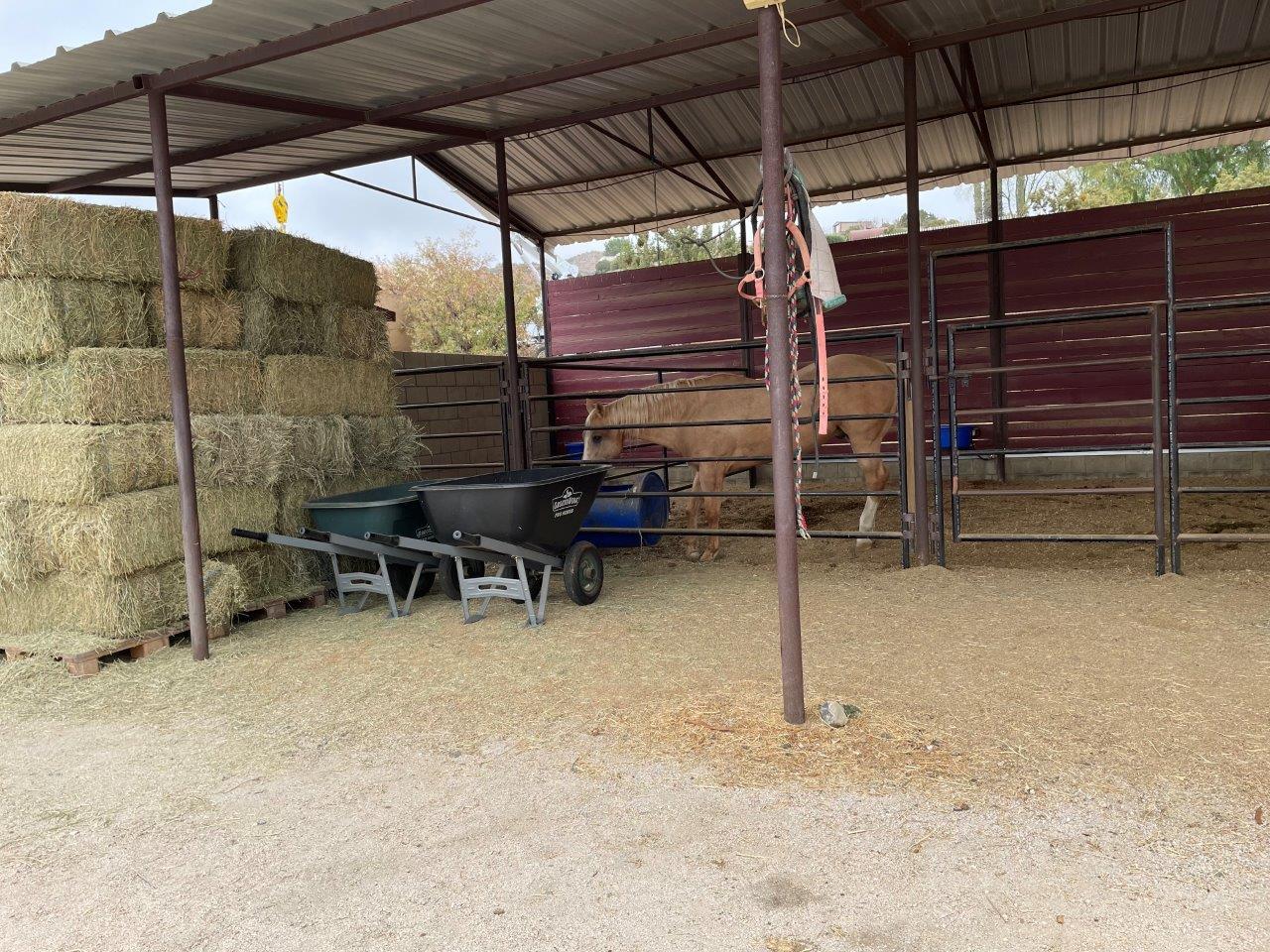 6 Guns Film Location SA Horse Barn Picture 10