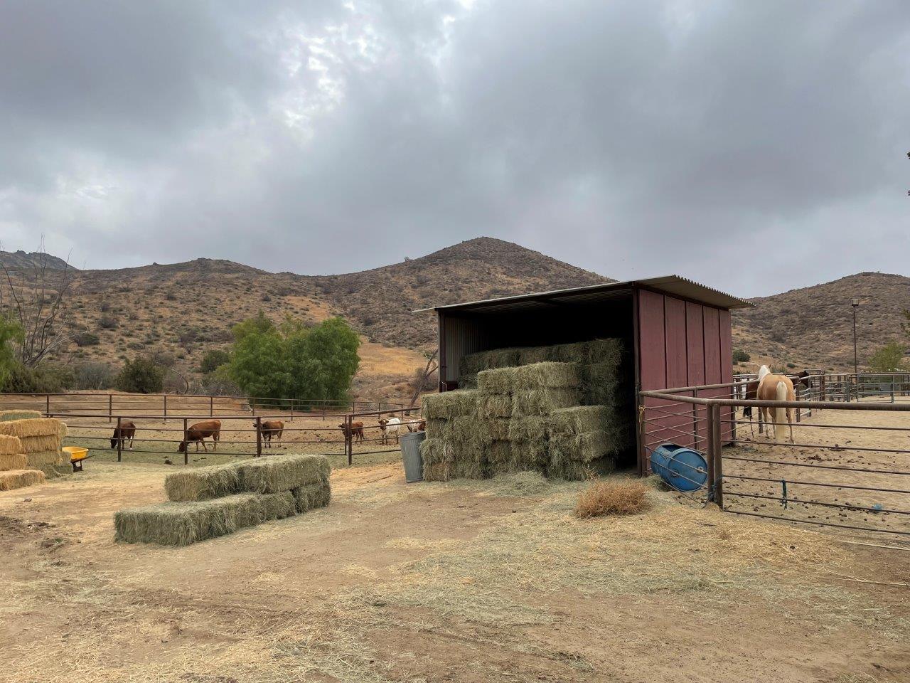 6 Guns Film Location SA Horse Barn Picture 20