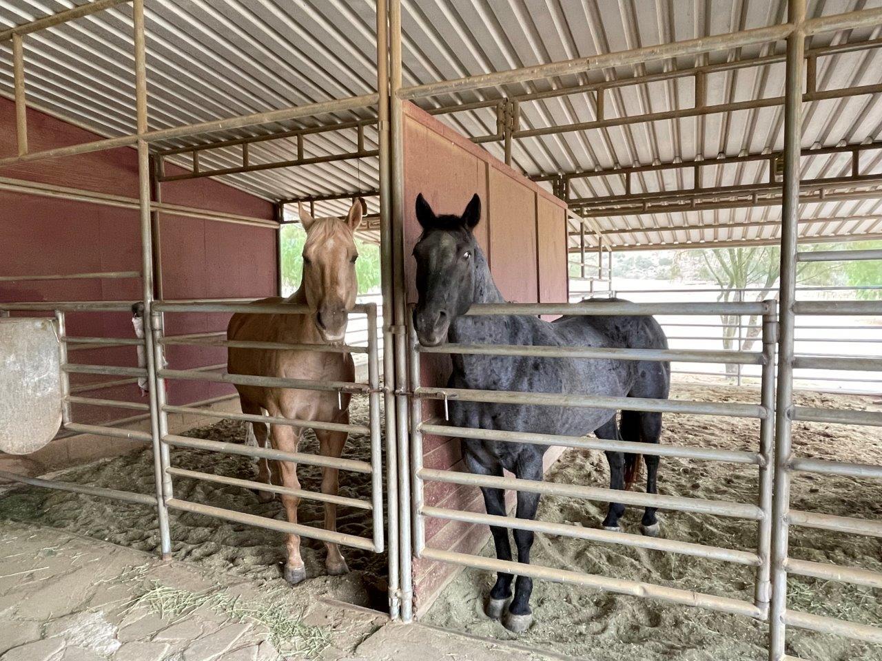 6 Guns Film Location SA Horse Barn Picture 22