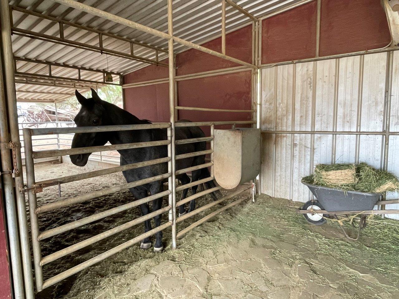 6 Guns Film Location SA Horse Barn Picture 23