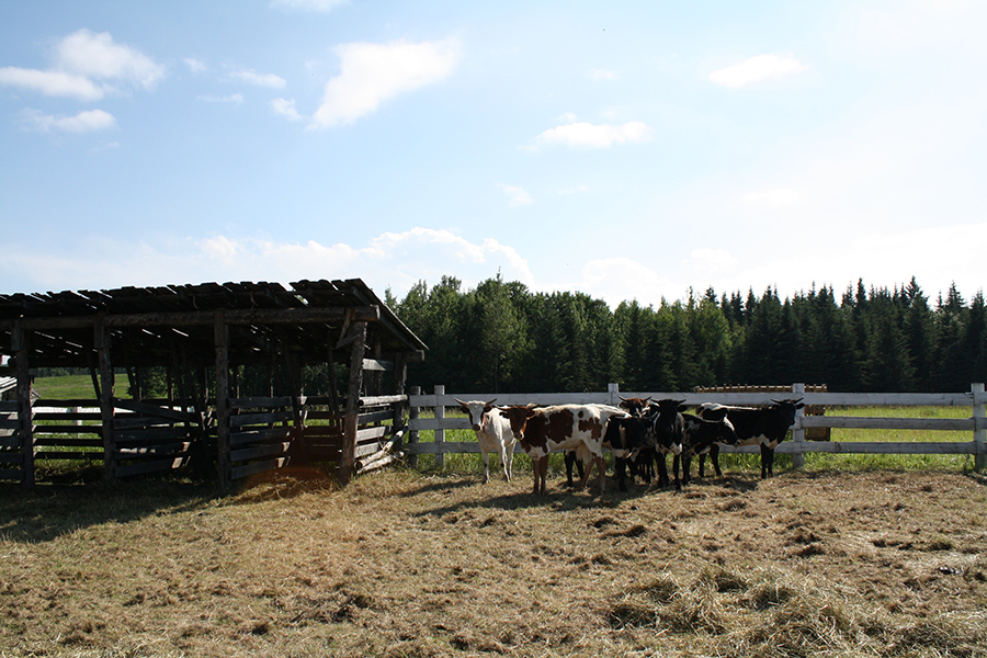 CL Western Town & Backlot SA Western Town Exterior Picture 69