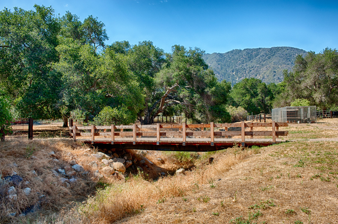 Rancho Deluxe SA Bridges Picture 2