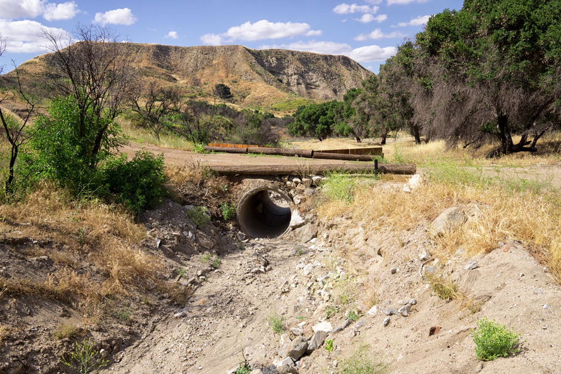 Rancho Deluxe SA Bridges Picture 5