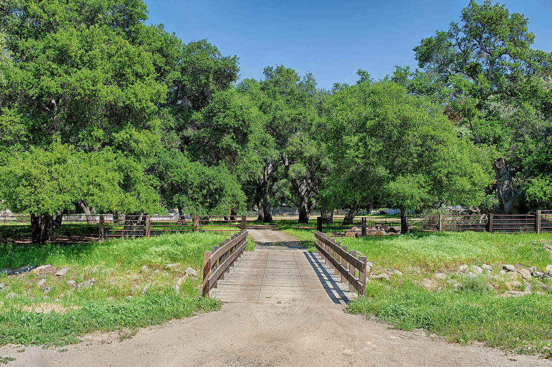 Rancho Deluxe SA Bridges Picture 6
