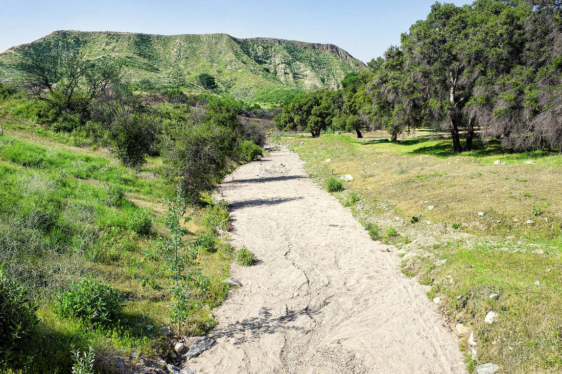 Rancho Deluxe SA Creek Beds Picture 2