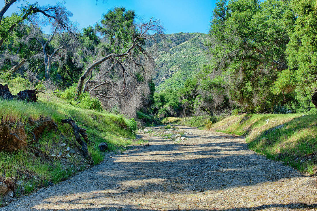 Rancho Deluxe SA Creek Beds Picture 3