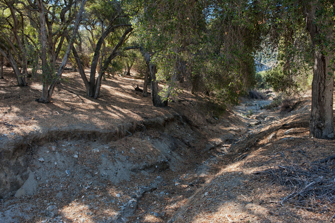 Rancho Deluxe SA Creek Beds Picture 5