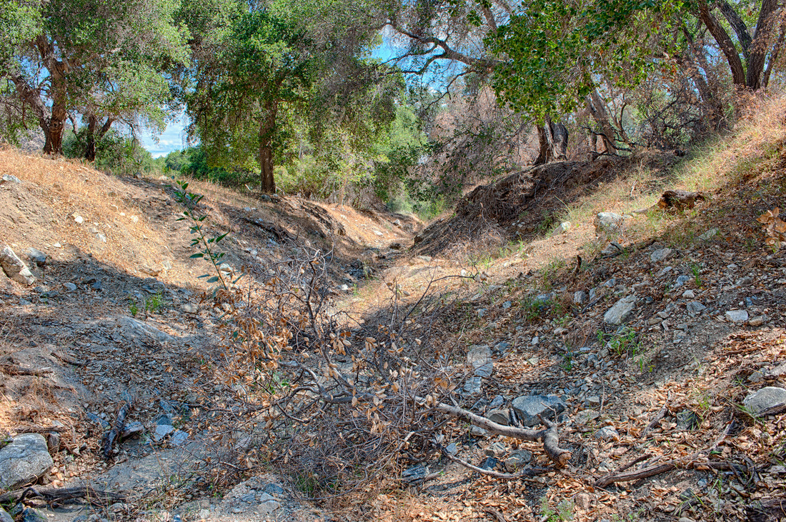 Rancho Deluxe SA Creek Beds Picture 6