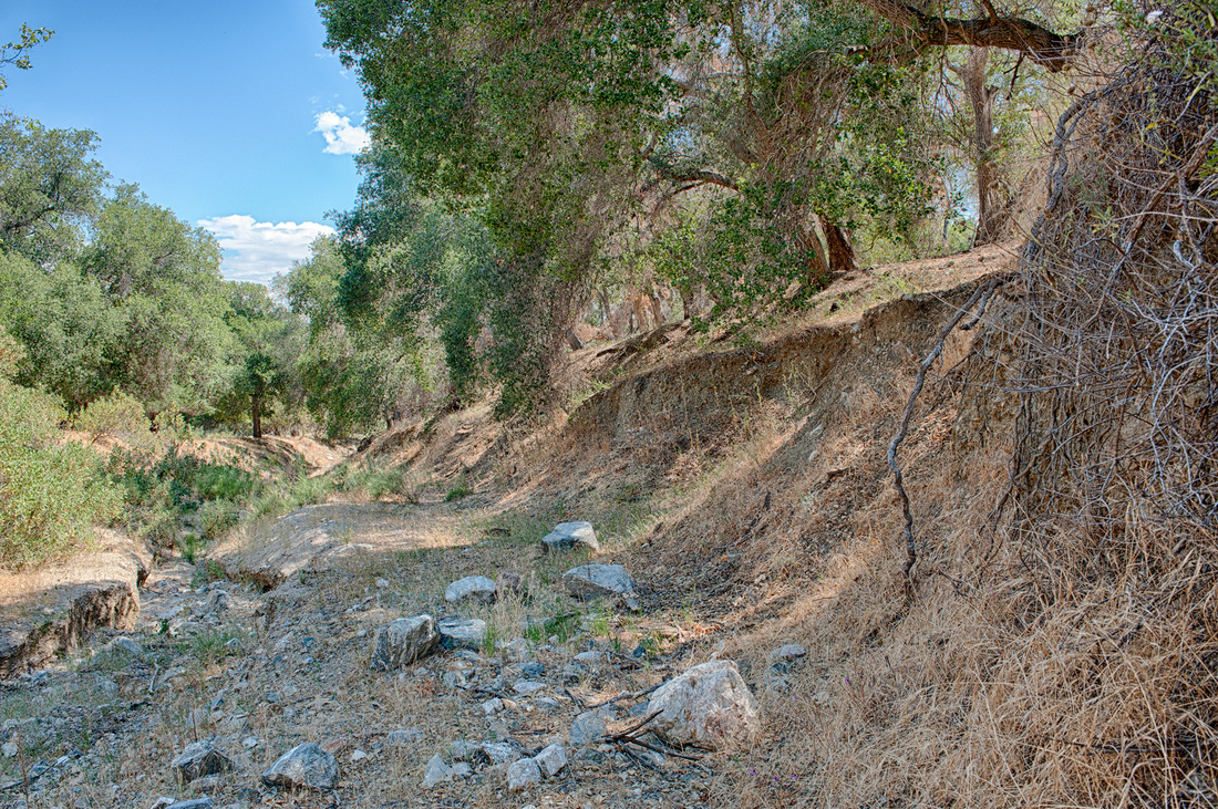 Rancho Deluxe SA Creek Beds Picture 7